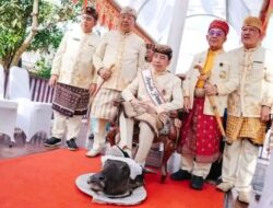 Aksi Jokowi Injak Kepala Kerbau Saat Prosesi Adat Lampung Tuai Beragam Tafsir, Pengamat: Murni Simbol Tradisi
