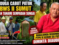 Diduga Cabut Patok BBWS II Sumut dan Tanami Sempadan Sungai, PTPN IV Regional I Kebun Sei Putih Diminta Diaudit